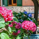 Hotel Amalfi Hotel 3*