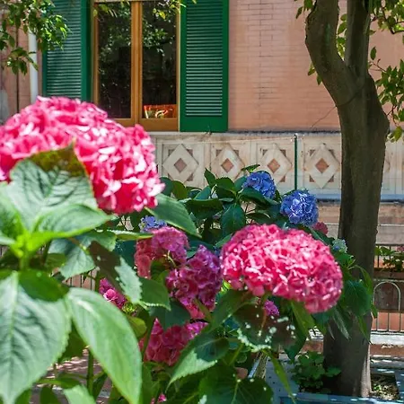 Hotel Hotel Amalfi 3*