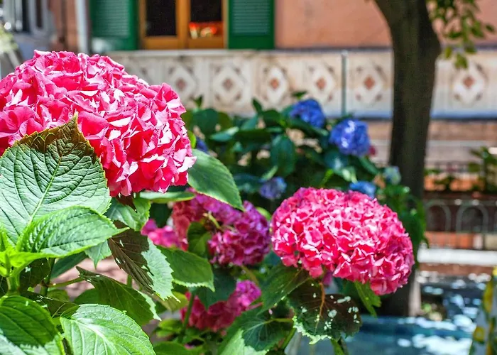 Hotel Amalfi Ξενοδοχείο 3*