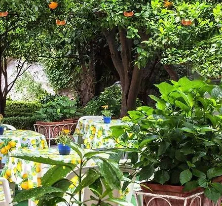 Hotel Hotel Amalfi 3*