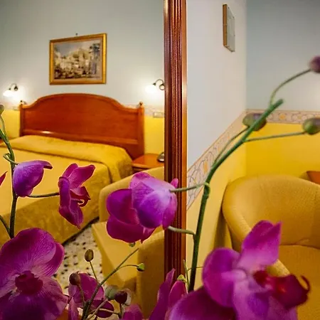 Hotel Amalfi Hotel