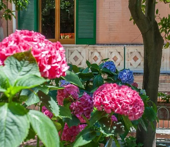 Hotel Hotel Amalfi 3*